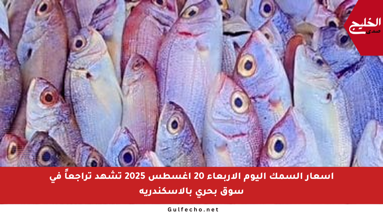 أسعار السمك اليوم الأربعاء 20 أغسطس 2025 تشهد تراجعاً في سوق بحري بالإسكندرية
